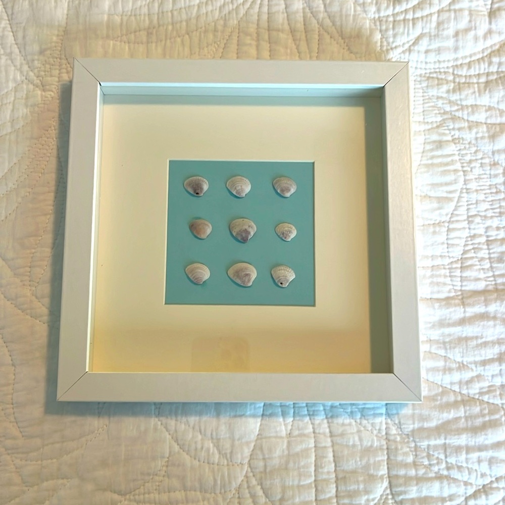 SEA SHELL ART